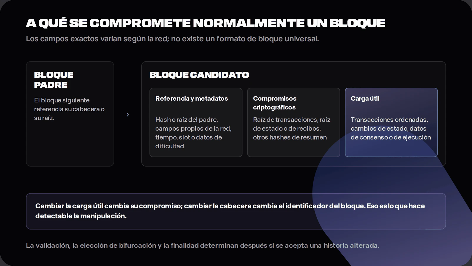 Diagram showing a parent block referenced by a candidate block. The candidate block contains network-specific reference and metadata fields, cryptographic commitments such as transaction or state roots, and an ordered payload. A note explains that hashes reveal changes while validation, fork choice and finality determine acceptance.