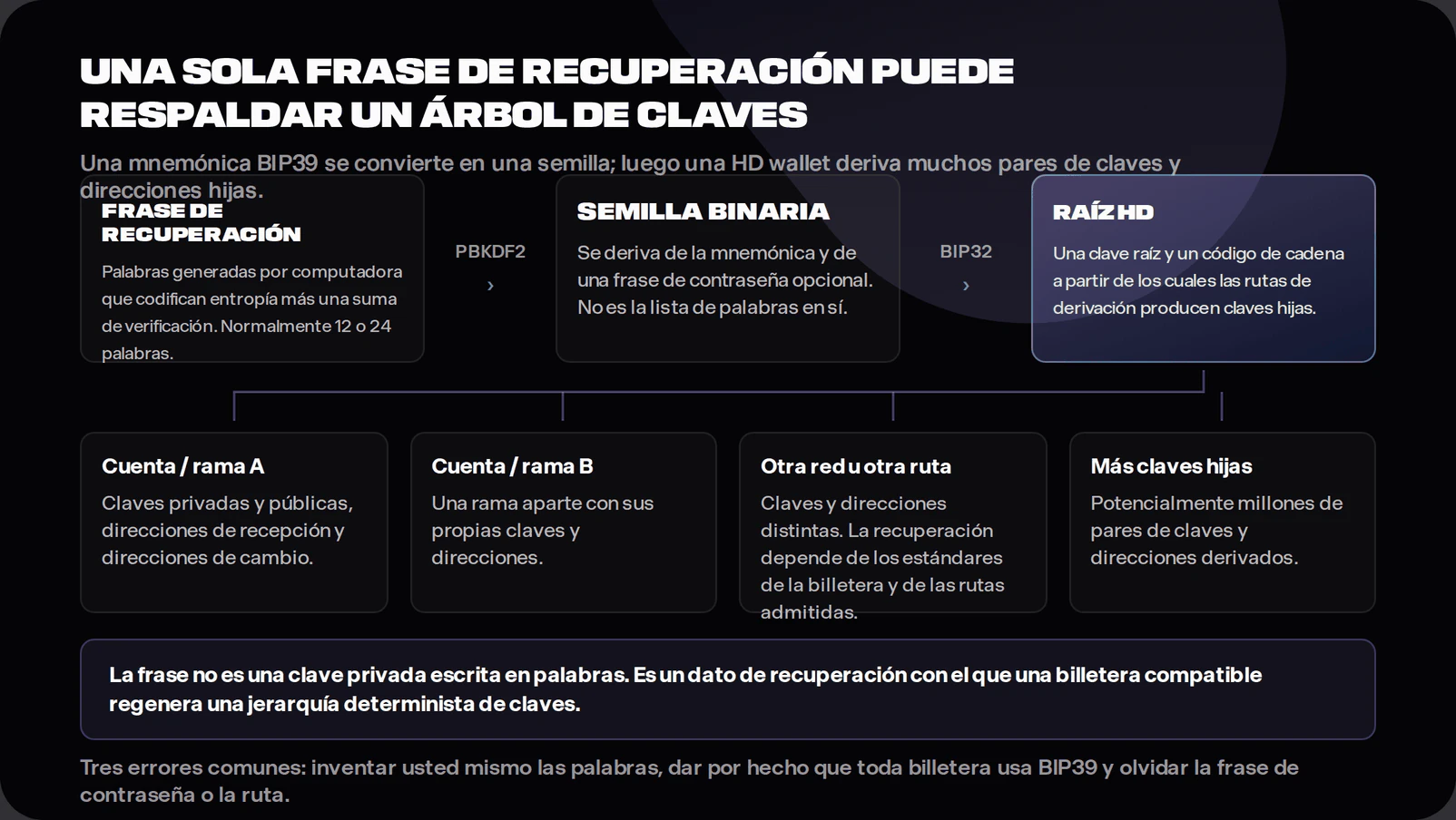 Diagram showing a recovery phrase converted to a binary seed and an HD wallet root, then branching into many accounts, private keys, public keys and addresses. It notes that an optional passphrase and derivation paths affect recovery.